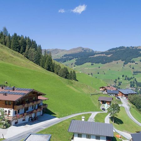 Апартаменты Landhaus Hinterglemm Зальбах-Хинтерглемм Экстерьер фото