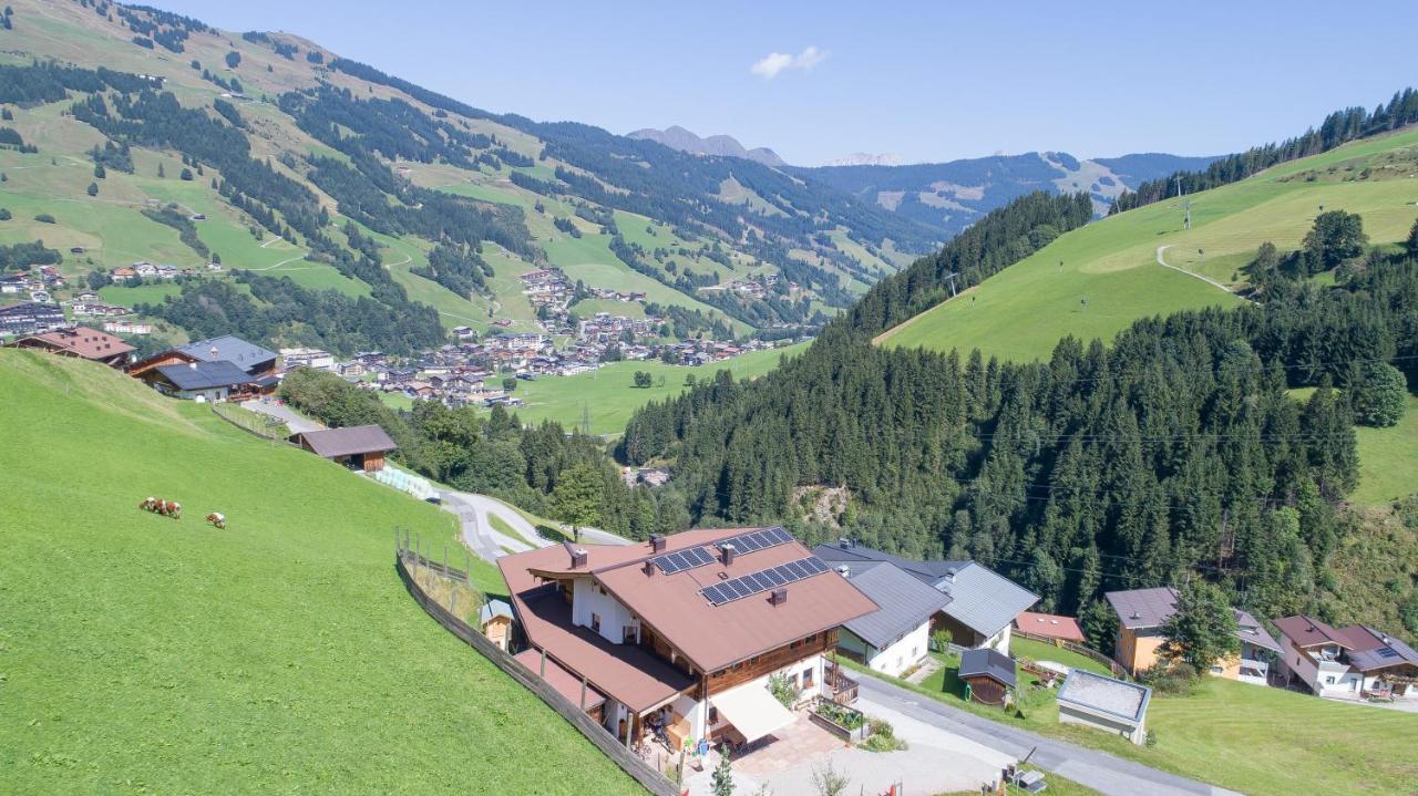 Апартаменты Landhaus Hinterglemm Зальбах-Хинтерглемм Экстерьер фото